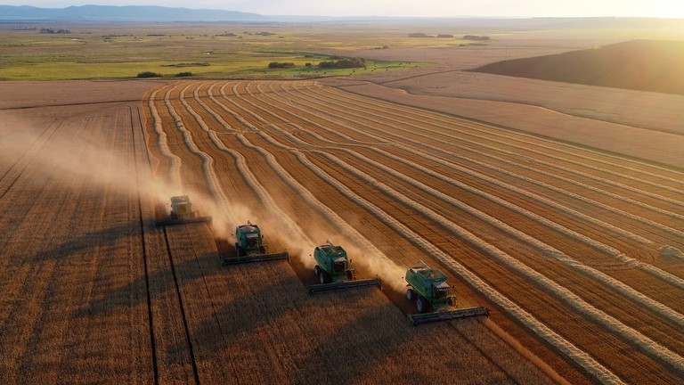 Tổng thống Nga Vladimir Putin cho biết, Nga đang kỳ vọng một vụ mùa bội thu trong năm nay, trong đó có vụ thu hoạch lúa mì kỷ lục. (Nguồn: RT)
