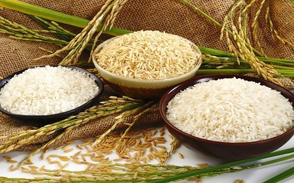Từ Trung Quốc, Mỹ cho tới Liên minh châu Âu (EU), sản lượng gạo đang sụt giảm và đẩy giá cả tăng lên, ảnh hưởng tới cuộc sống của hơn 3,5 tỷ người trên toàn cầu, đặc biệt ở khu vực châu Á Thái Bình Dương - nơi tiêu thụ 90% lượng gạo của thế giới.