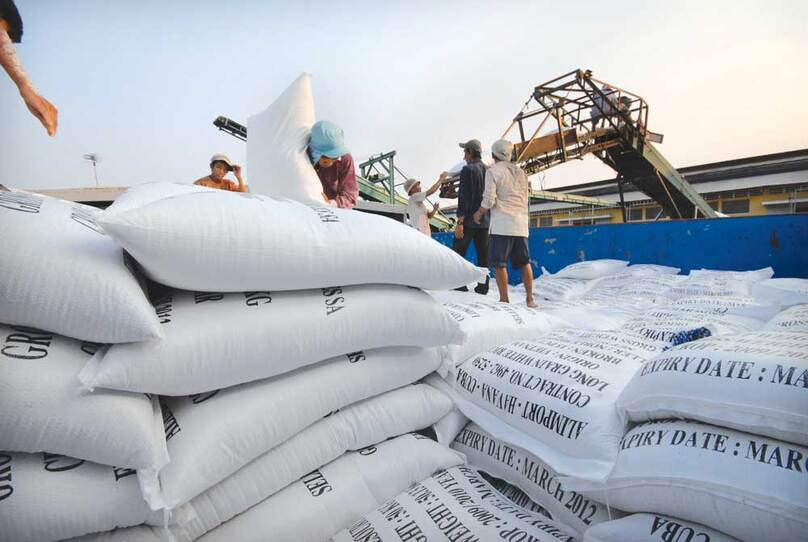 Năm 2023, toàn cầu sẽ thiếu khoảng 8,7 triệu tấn gạo