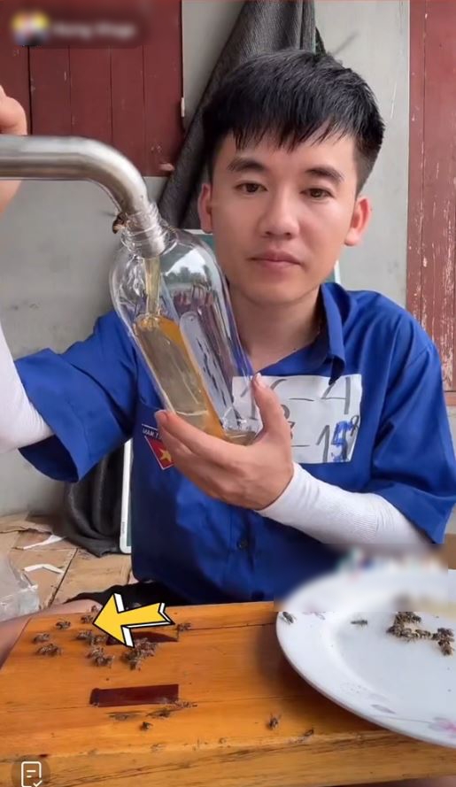 Hưng Vlog thường xuyên livestream bán mật ong trên TikTok với hình ảnh đang sản xuất mật ong. Ảnh: Chụp màn hình.