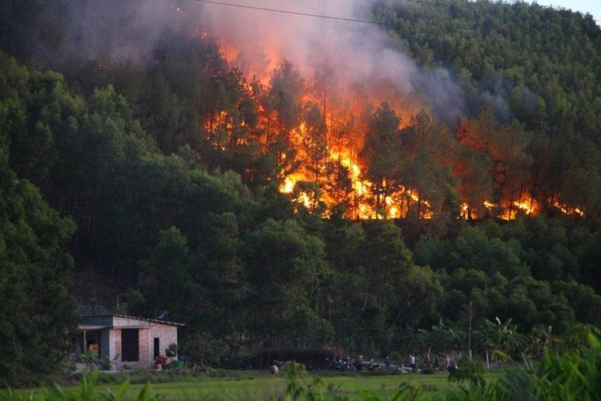 Nhiều địa phương miền Trung cảnh báo cháy rừng. (ảnh minh họa)