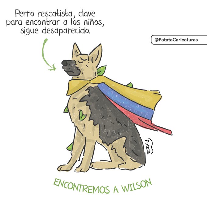 Người dân Colombia đang ngày đêm dõi theo hành trình tìm kiếm 'anh hùng' Wilson. (Ảnh: Twitter).
