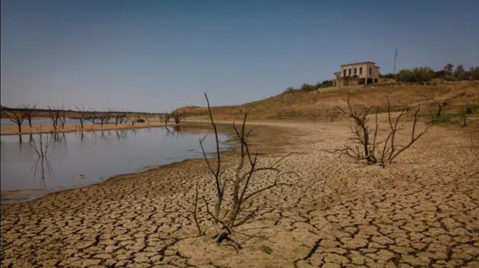 Quang cảnh đầm lầy cung cấp nước cho làng Fuente Obejuna ở Cordoba, Tây Ban Nha gần như trống rỗng vào ngày 19/5/2023. Ảnh: CNBC