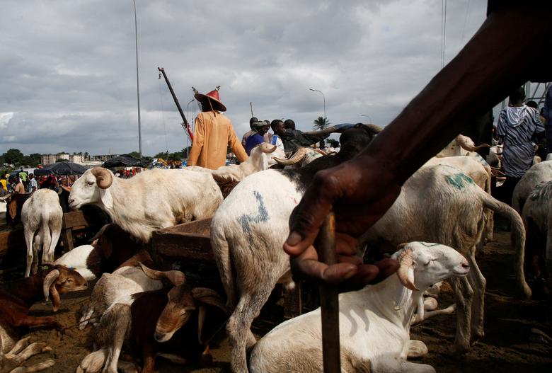 Người dân đứng gần những con cừu của họ tại một chợ cừu hai ngày trước lễ Eid al-Adha, ở Port - Bouet (Abidjan, Bờ Biển Ngà). (Ảnh: REUTERS/Luc Gnago)