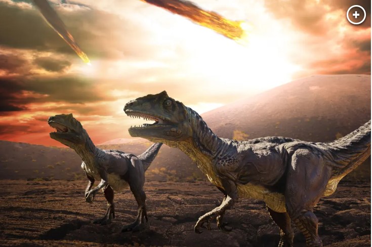 Khi tiểu hành tinh chết người đâm vào Trái đất 66 triệu năm trước, sự hủy diệt đã giết chết tất cả các loài khủng long ngoại trừ chim và các động vật nhỏ khác như thằn lằn và ếch. Ảnh: Getty/iStockphoto