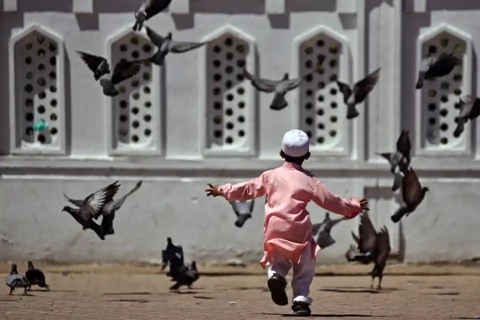 Một cậu bé Hồi giáo chơi với những chú chim bồ câu sau khi cầu nguyện nhân dịp lễ Eid al-Adha, tại nhà thờ Hồi giáo Walajah (Ấn Độ). (Ảnh: Idries Mohammed/EPA)