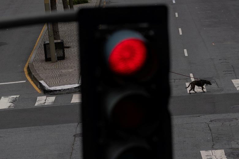Một người dân địa phương dắt chó đi dạo tại ngã tư ở trung tâm thành phố San Francisco. (Ảnh: REUTERS/Carlos Barria)