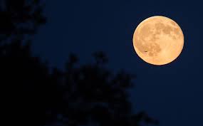 Siêu trăng năm 2015. (Ảnh NASA)