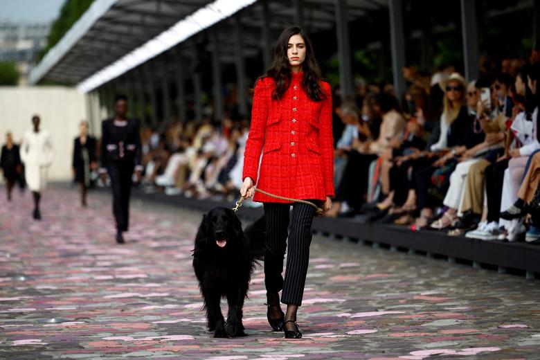 Một người mẫu dắt chú chó lên sàn diễn trong buổi trình diễn bộ sưu tập Haute Couture Thu - Đông 2023 - 2024 cho nhà mốt Chanel bên bờ sông Seine ở Paris (Pháp). (Ảnh: REUTERS/ Sarah Meyssonnier)