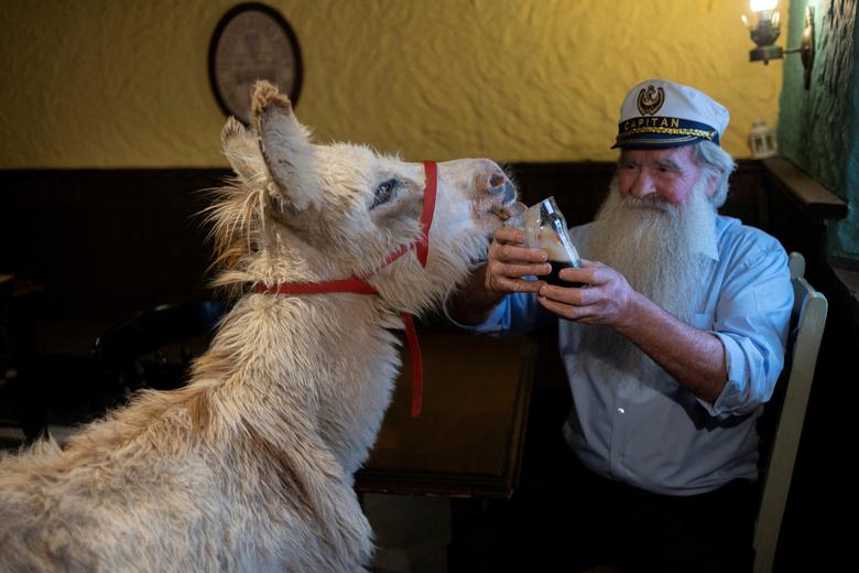 Ông Pake Diskin, 72 tuổi cầm một ly Guinness cho một con lừa tên Holly liếm tại quán rượu từng xuất hiện trong bộ phim 'The Banshees of Inisherin' của Martin McDonagh. (Ảnh: REUTERS/Clodagh Kilcoyne)
