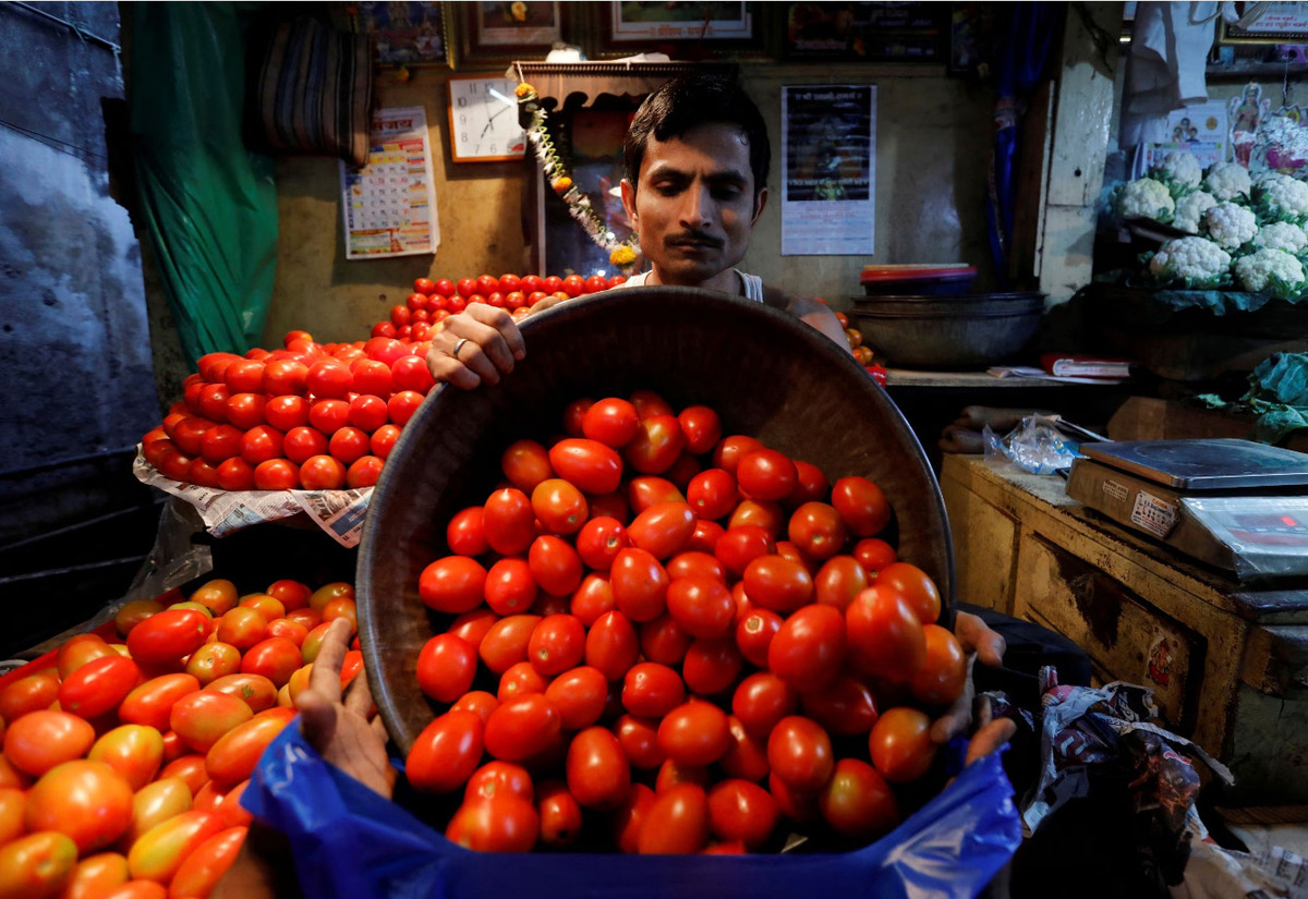 Giá cà chua tại Ấn Độ thường trở nên đắt đỏ trong các tháng sản xuất kém là tháng 6 và tháng 7, song tình hình tăng giá năm nay là chưa từng có. Ảnh: Reuters