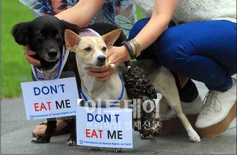 Hai chú chó được đeo khẩu hiệu “Xin đừng ăn tôi”.