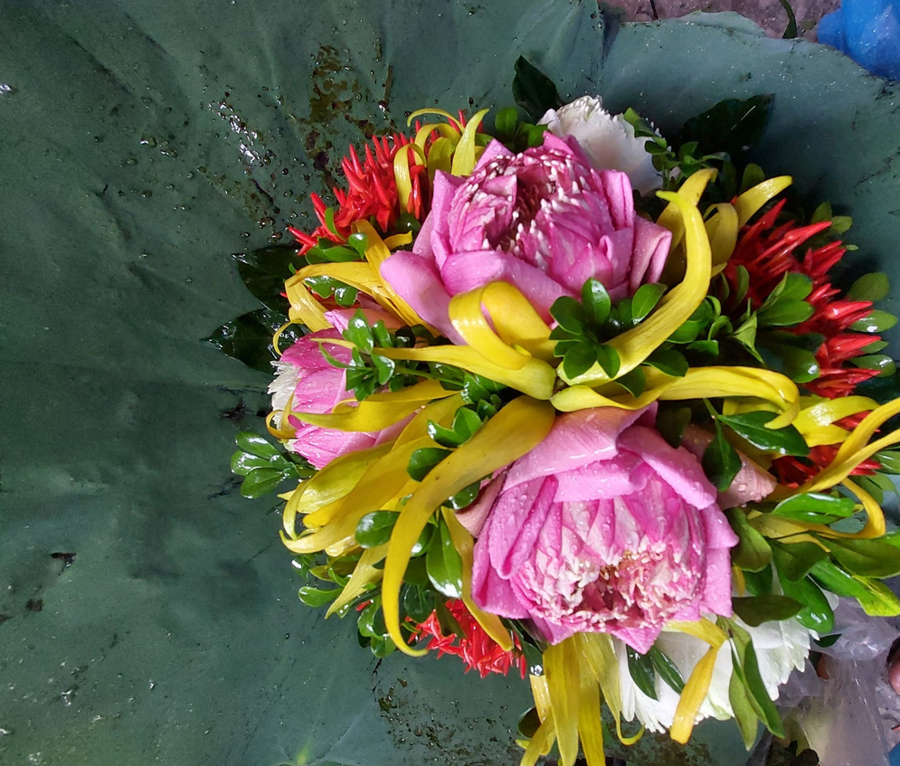 Hoa sen là loài hoa được người đời yêu quý, nhất là trong giới Phật tử.