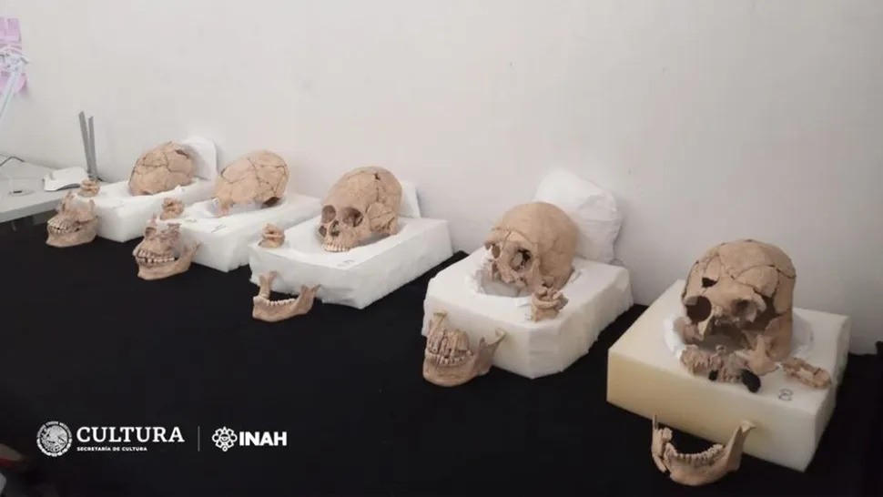 Các hộp sọ đã được phân tích trong số 13 hộp sọ lạ được khai quật gần kim tự tháp Maya. (Ảnh: INAH)