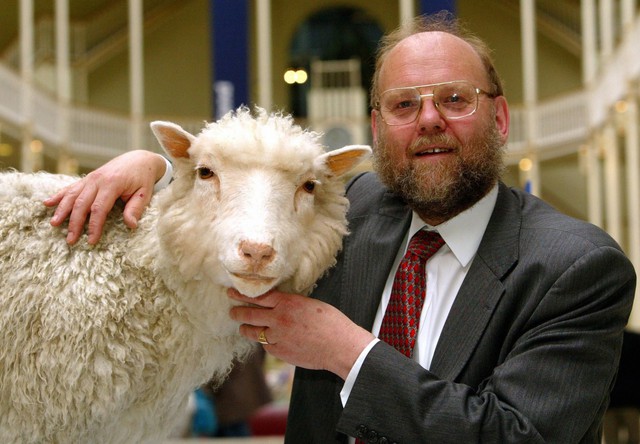 Ông Sir Ian Wilmut bên cạnh chú cừu Dolly.