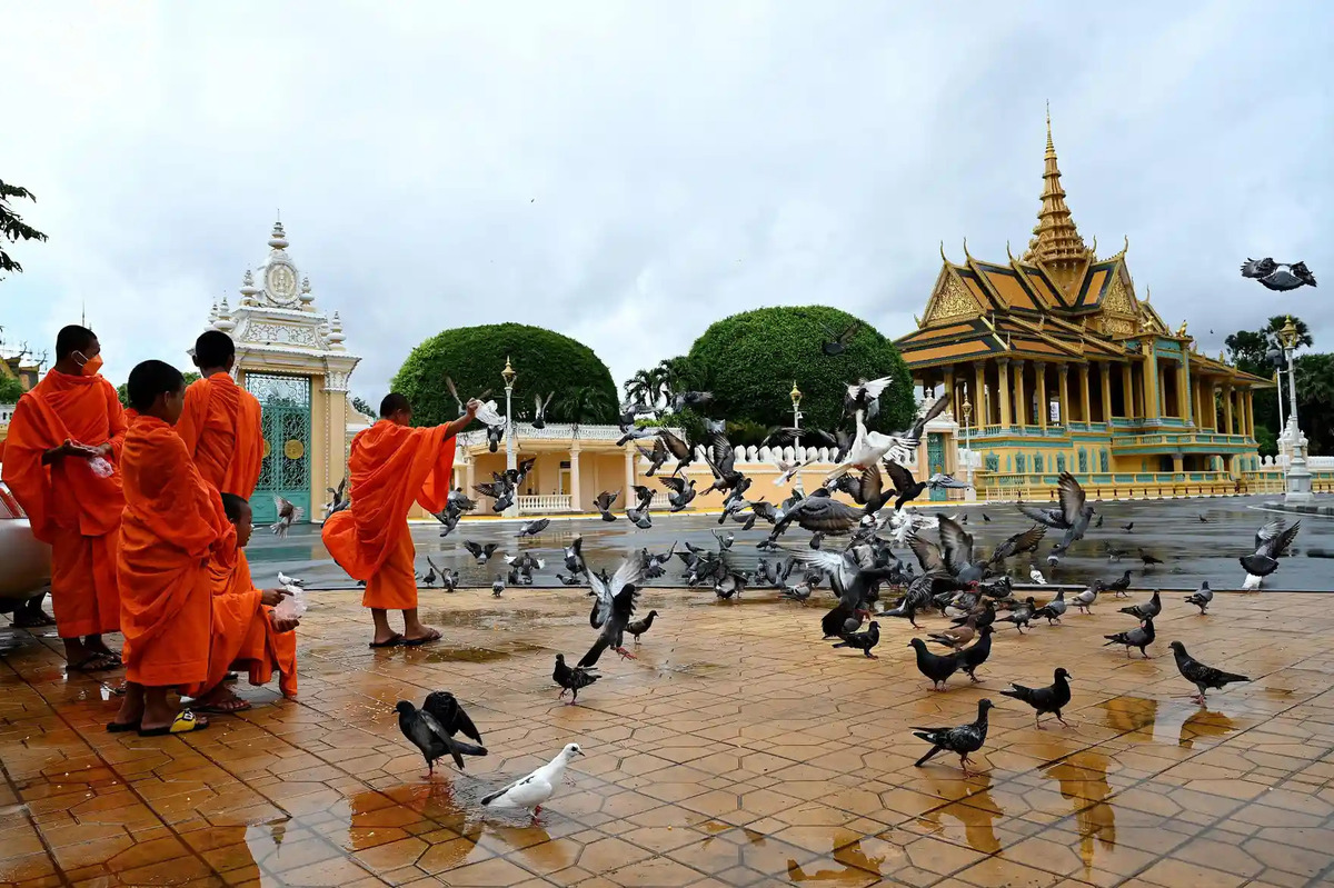 Nhà sư cho chim bồ câu ăn trước Cung điện Hoàng Gia Campuchia. (Ảnh: Tang Chhin Sothy/AFP/Getty Images)
