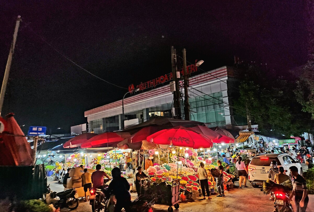 Chợ hoa Quảng An vào tối trước ngày lễ 20/10 ken đặc xe hoa, khách mua hoa. Mọi sắc màu của muôn loài hoa đều dồn về khu chợ nổi tiếng ở Hà Nội. Ảnh Trịnh Anh