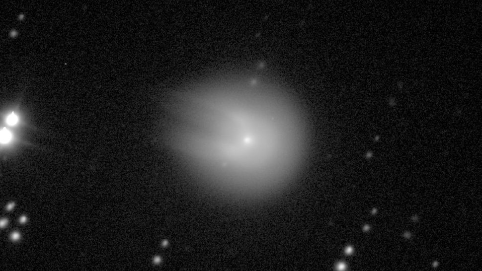 Sao chổi 12P/Pons - Brook được chụp vào ngày 8/10 vừa qua. (Ảnh: Comet Chasers/Richard Miles)