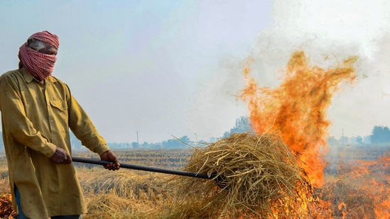 Hoạt động đốt rơm rạ sau mùa thu hoạch ở Ấn Độ. (Ảnh: PTI)