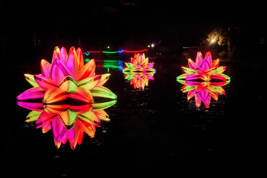 Tác phẩm Lillies của các nghệ sĩ Réka Magyar và Péter Koros tại Công viên Peasholm trong khuôn khổ Lễ hội ánh sáng ở Bắc Yorkshire (Vương quốc Anh). (Ảnh: Christopher Thomond/The Guardian)