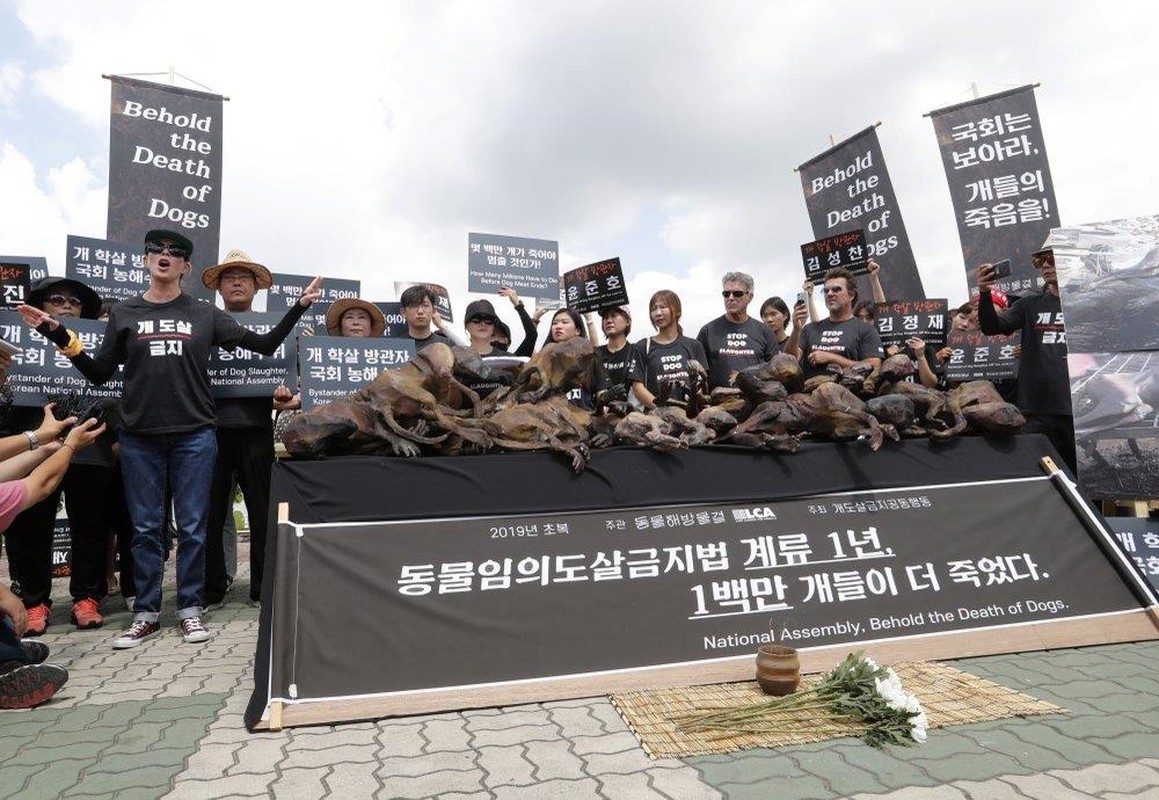 Cuộc biểu tình diễn ra trước tòa nhà Quốc hội Hàn Quốc ngày 12/7. Người biểu tình mang theo nhiều mô hình chó bị giết bằng sốc điện ở các lò mổ. (Ảnh: A.P.)  