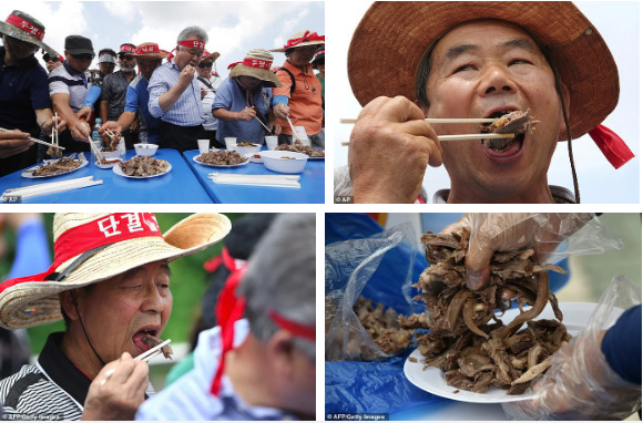 Thành viên của Hiệp hội thịt chó Hàn Quốc tổ chức ăn uống, mời những người đứng gần tham dự. (Ảnh: AP,  AFP)    