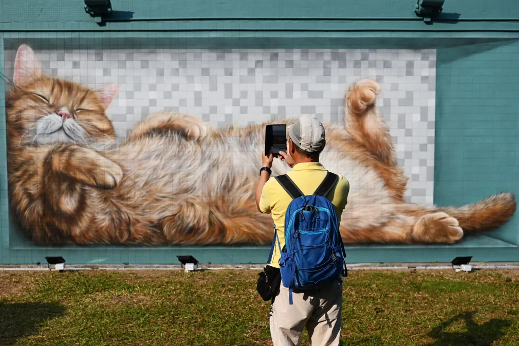 Du khách chụp ản bức tranh tường ấn tượng của nghệ sĩ đường phố Vladi ở Hong Kong (Trung Quốc). (Ảnh: Peter Parks/AFP/Getty Images)