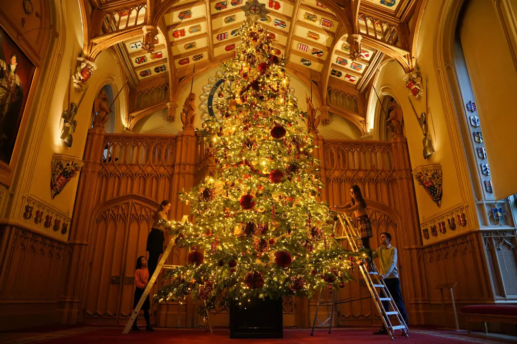 Nhân viên của Bảo tàng Royal Collection Trust đang hoàn thiện những chi tiết cuối cùng cho cây thông Noel ở Hội trường St George (Windsor, Vương quốc Anh). (Ảnh: Lucy North/PA)