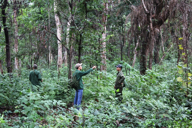 Thi thể cán bộ kiểm lâm được tìm thấy trong rừng tại Khu bảo tồn thiên nhiên Ea Sô. (Ảnh: BĐL)