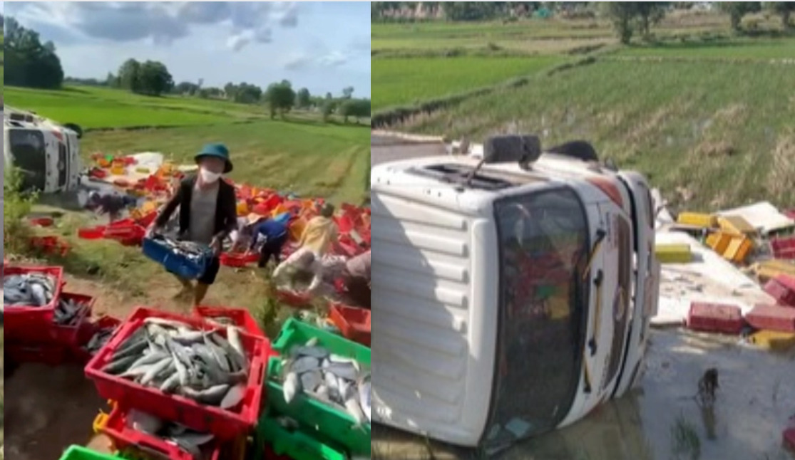Người dân lội bùn thu gom giúp tài xế xe chở cá bị lật ở Quảng Trị.   