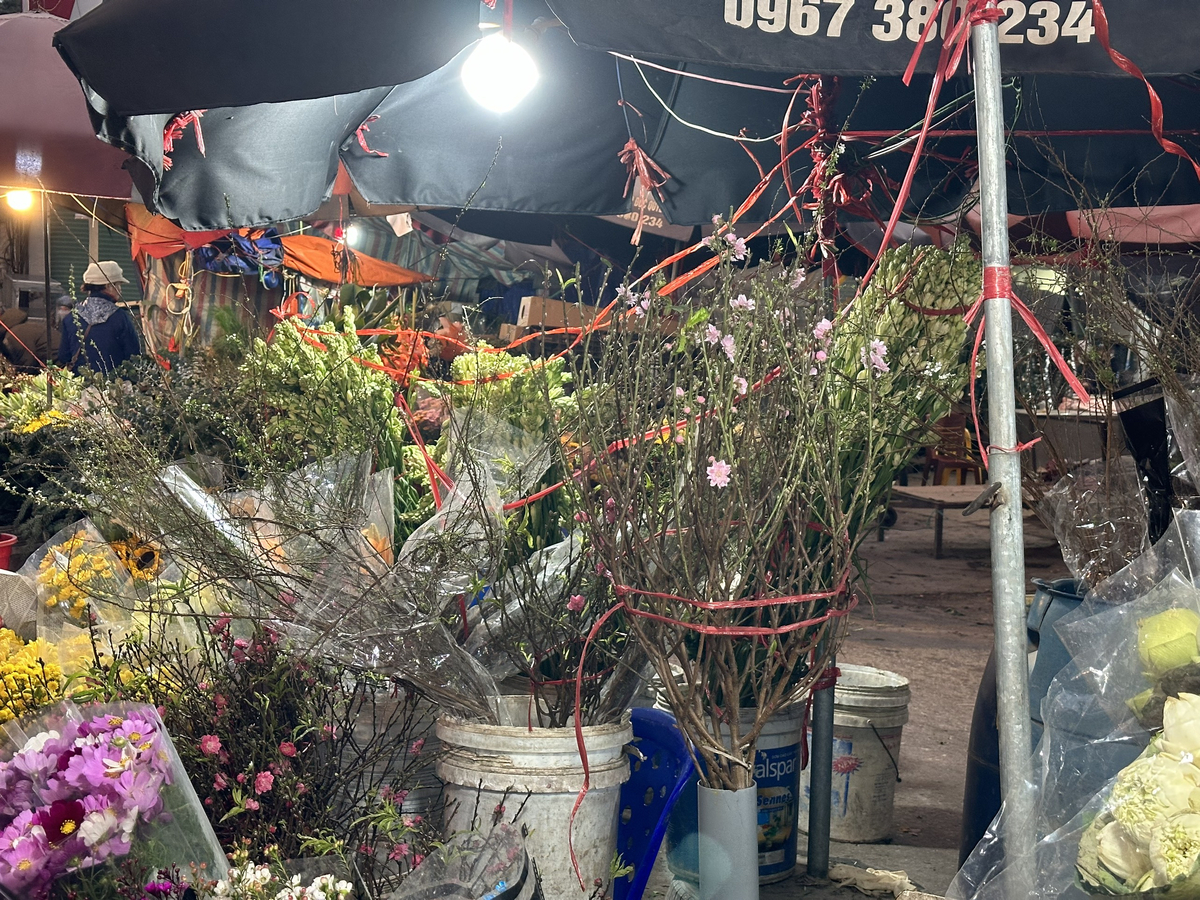 Đào phai cũng được bày bán ở chợ Quảng An với giá từ 180.000 -200.000 đồng/cành.