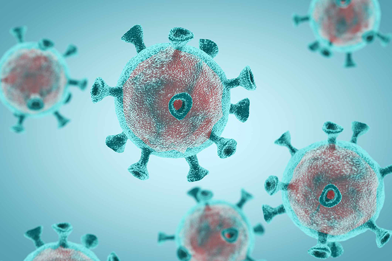 Biến thể JN.1 của virus SAR S-CoV-2 gia tăng nhanh chóng trên phạm vi toàn cầu trong thời gian gần đây. (Ảnh minh hoạ)