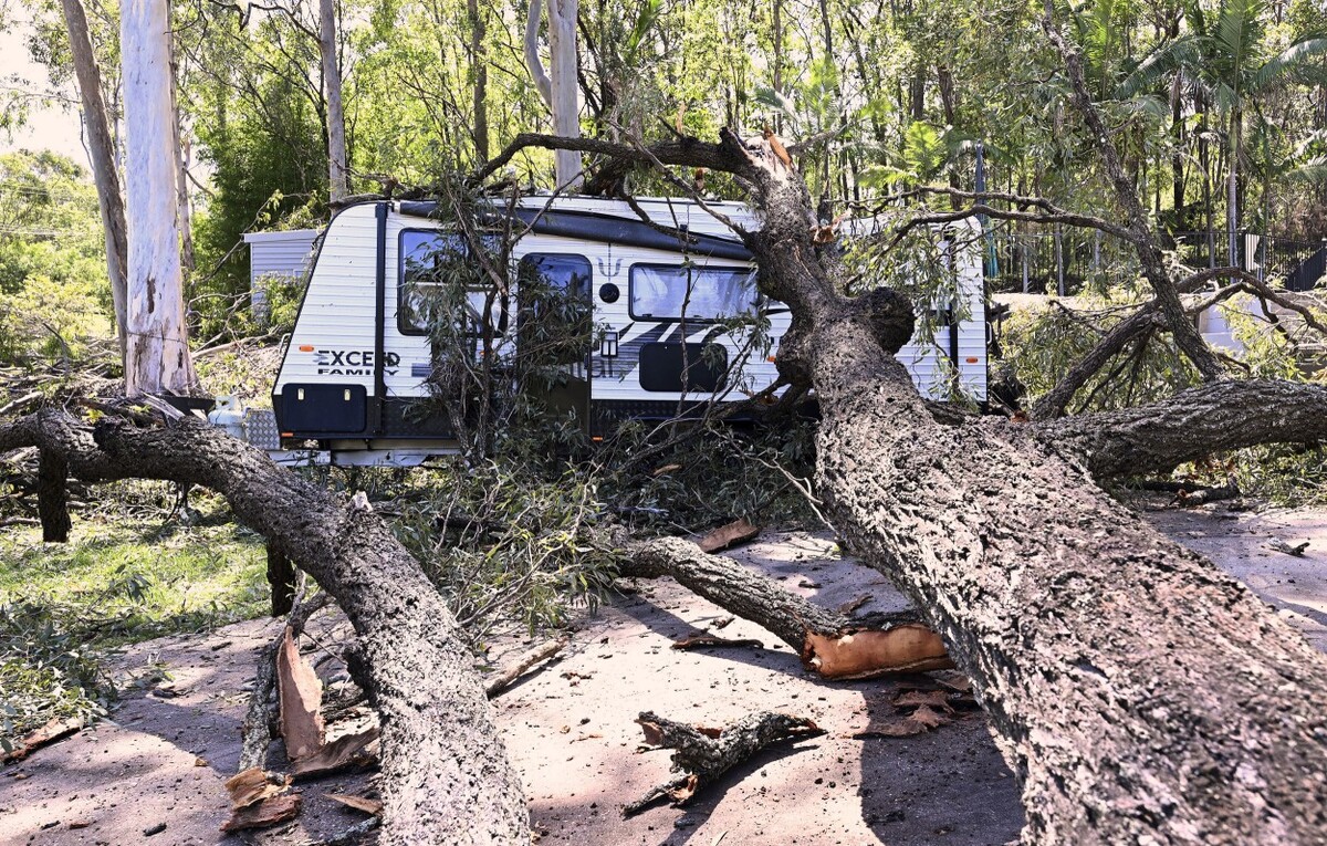 Một cây lớn đổ đè lên xe chiếc ô tô ở khu cắm trại gần Gold Coast (Australia).