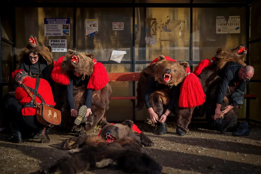 Các thành viên nhóm Sipoteni Bear Pack mặc trang phục gấu để thực hiện nghi lễ truyền thống nhằm xua đuổi tà ma ở Racova (Romania). (Ảnh: Vadim Ghirdă/AP)