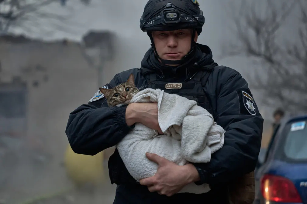Một chú mèo được giải cứu sau cuộc tấn công dữ dội của Nga ở Kiev (Ukraine). (Ảnh: Libkos/Getty)