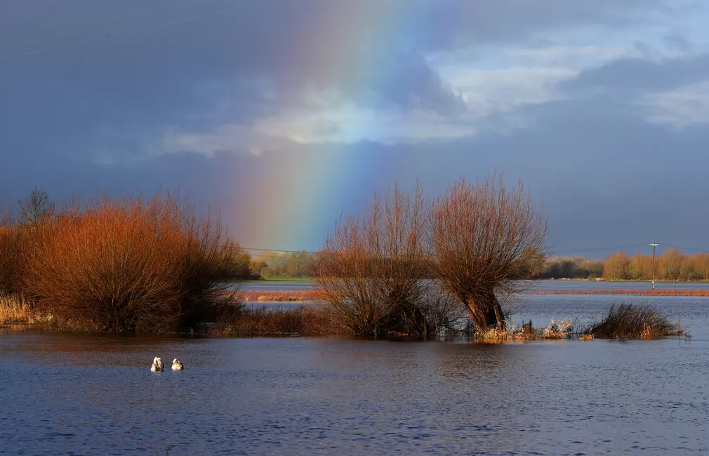 Cầu vồng xuất hiện trên những cánh đồng ngập nước ở Cricklade (Vương quốc Anh). (Ảnh: Adrian Dennis/AFP/Getty Images)