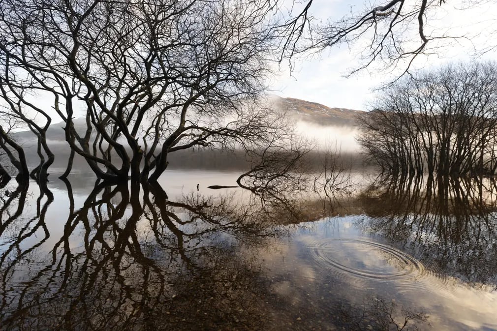 Hồ Loch Lomond (Scotland) được bao phủ bởi sương mù vào sáng sớm. (Ảnh: Murdo MacLeod/The Guardian)