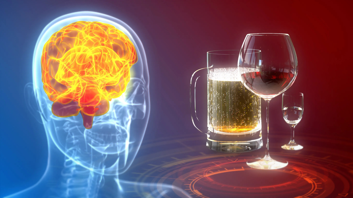 Các vùng não bị tổn thương do lạm dụng rượu trong thời gian dài có thể bắt đầu tự phục hồi sau khi người ta ngừng uống rượu.