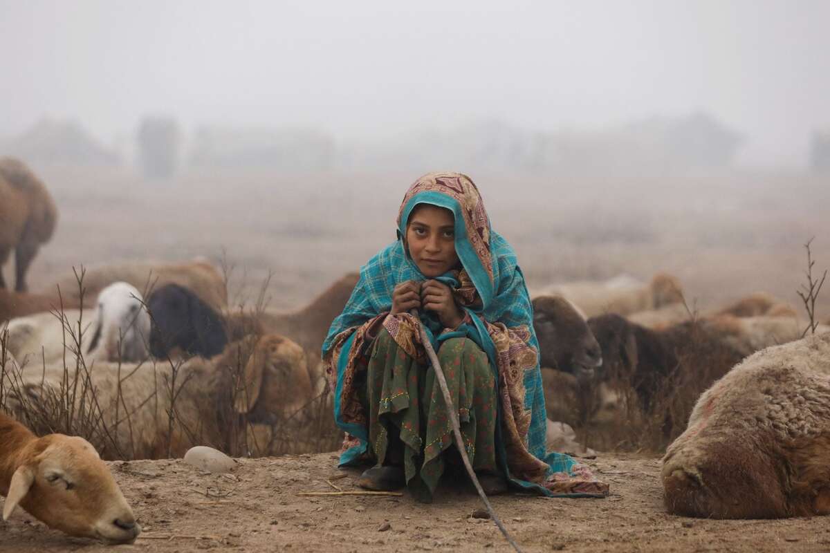 Cô bé ngồi bên đàn dê của gia đình vào một buổi sáng sương mù ở ngoại ô Peshawar (Pakistan). (Ảnh: REUTERS/Fayaz Aziz)