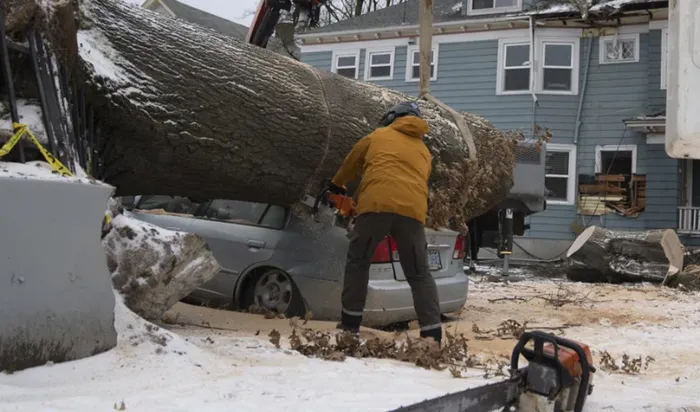 Tại Oregon, cây đổ đè lên ô tô và nhà cửa, người dân phải dọn dẹp và đối mặt với tình trạng mất điện do cơn bão trước đó gây ra. (Ảnh: AP)    