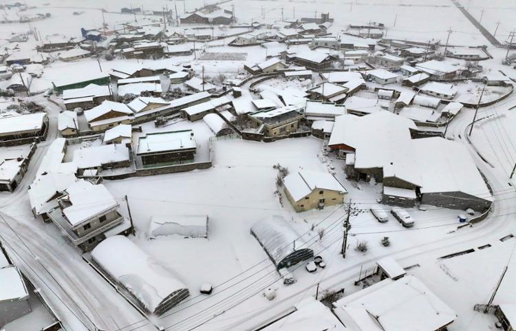Một ngôi làng ở huyện Younggwang, tỉnh Nam Jeolla, sau khi tuyết rơi. (Ảnh: Yonhap)