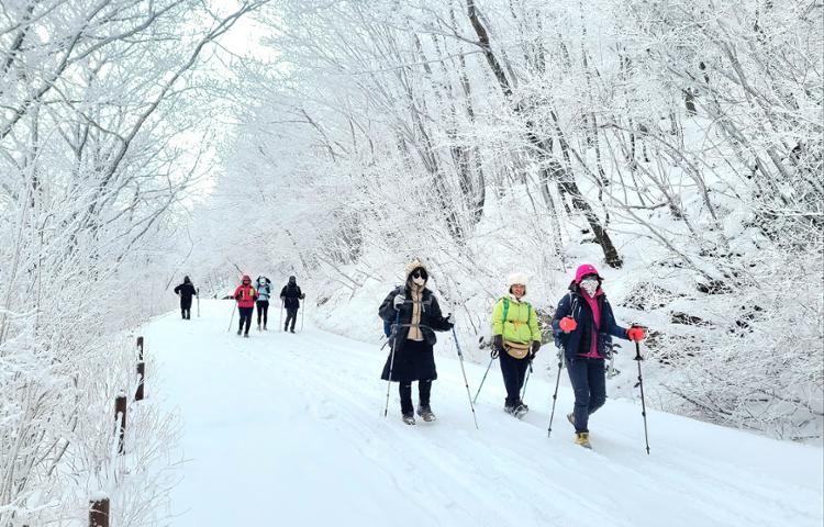 Những người đi bộ đường dài mùa Đông trên núi Jiri ở miền Nam Hàn Quốc sau khi bão tuyết tấn công ngọn núi và các khu vực lân cận. (Ảnh: Yonhap)