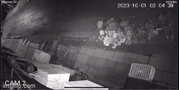 Video: Gia chủ khốn khổ vì cứ lắp bóng đèn là bị trộm mất