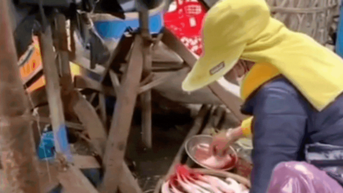 Sự thật về clip tiểu thương nhuộm đỏ cá bã trầu bằng 'chất lạ' ở chợ Tam Kỳ