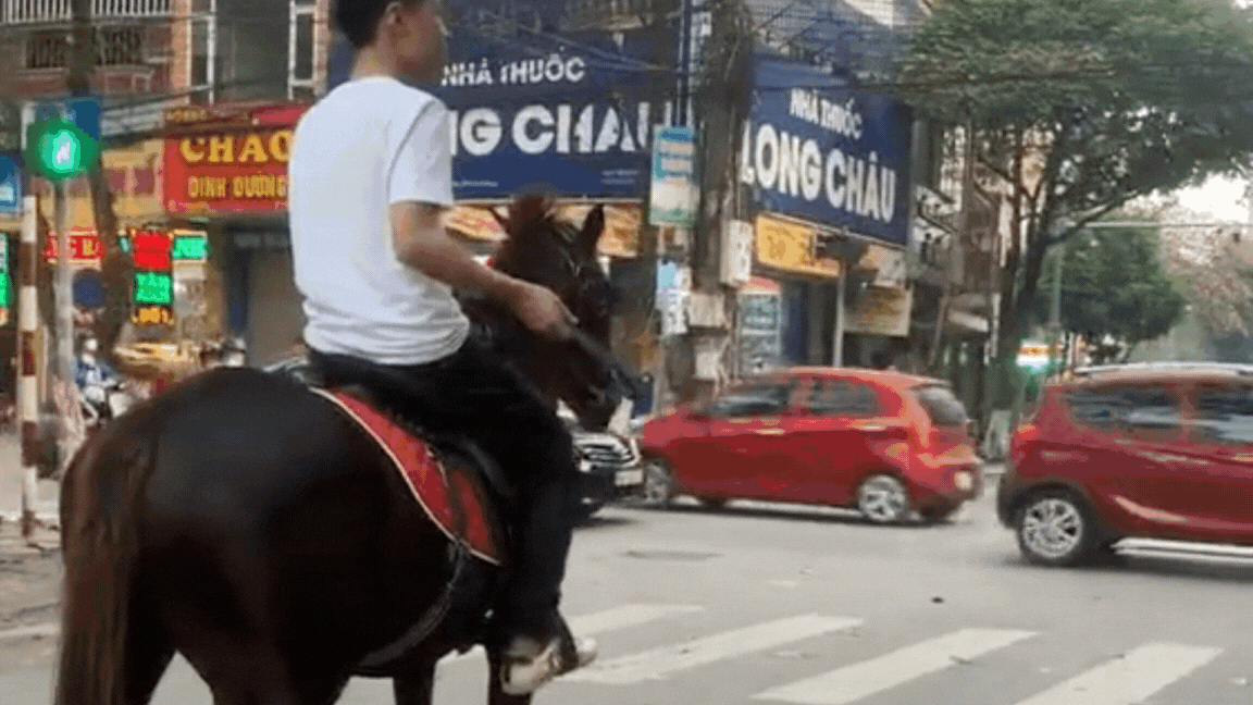Xôn xao clip thanh niên hồn nhiên cưỡi ngựa tham gia giao thông vẫn bình tĩnh dừng chờ đèn đỏ