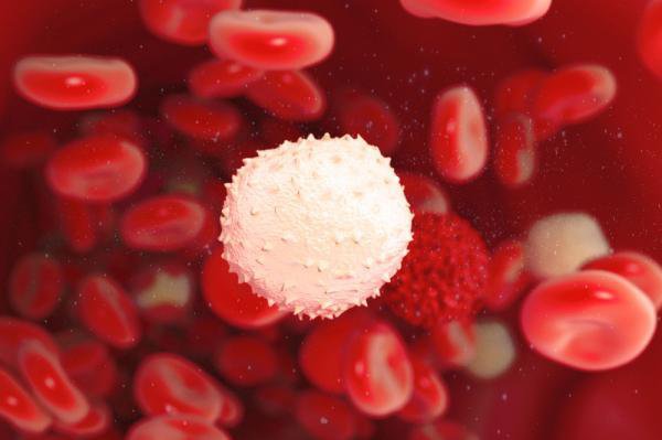 Tiểu cầu có vai trò gì trong quá trình đông máu và cầm máu của cơ thể?
