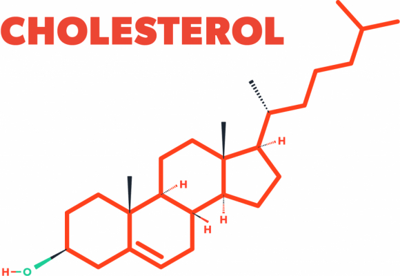 Cách giảm cholesterol este trong cơ thể?

