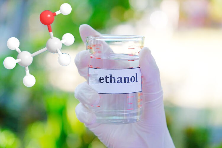 Nồng độ ethanol trong máu tiến triển như thế nào theo thời gian?
