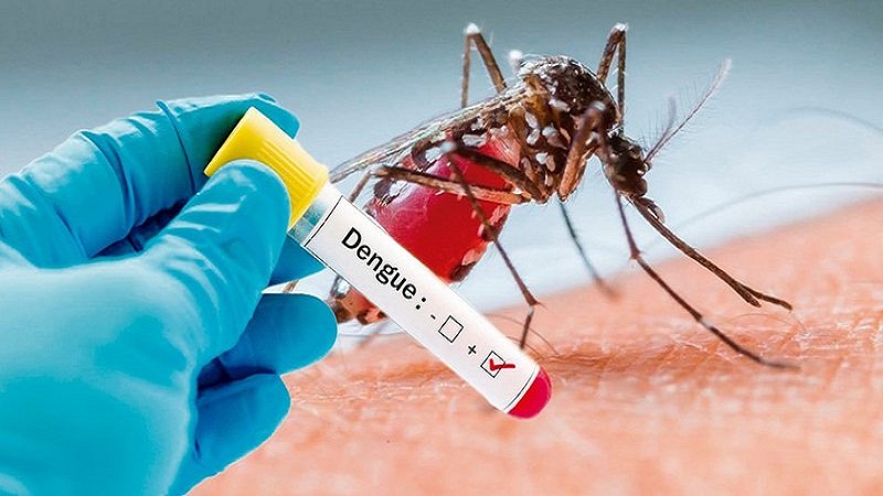 Độ chính xác và độ nhạy của test Dengue virus NS1Ag là bao nhiêu?
