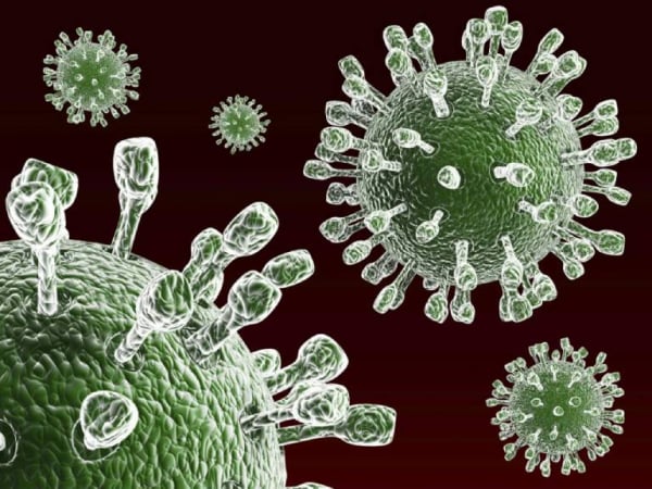 Kiểm tra nhanh rotavirus test nhanh 